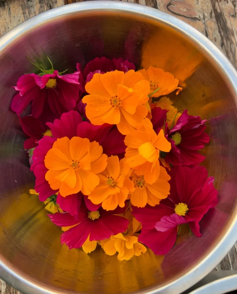 Schaal met felle oranje en roze bloemen, klaar om verwerkt te worden in een workshop